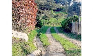 venta lote antioquia guarne autopista aeropuerto parcelación rebajado