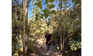 Venta lote Antioquia retiro parcelación vista bosque ganga rebajado