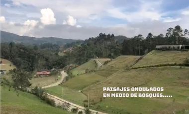Venta lote Antioquia retiro parcelación vista bosque ganga rebajado