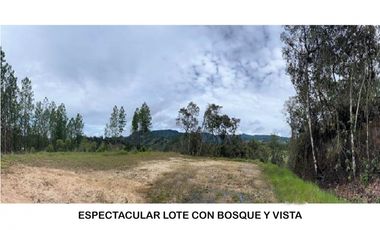 Venta lote Antioquia retiro parcelación vista bosque ganga rebajado