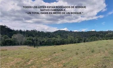 Venta lote Antioquia alto palmas variante no peaje parcelación bosque