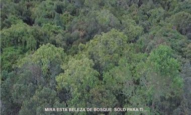 Venta lote Antioquia alto palmas variante no peaje parcelación bosque