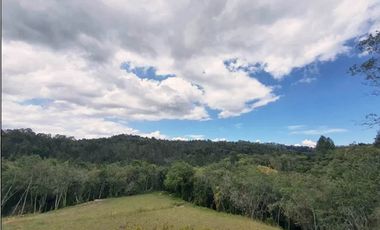 Venta lote Antioquia alto palmas variante no peaje parcelación bosque