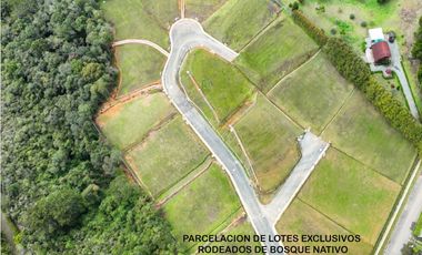 Venta lote Antioquia alto palmas variante no peaje parcelación bosque