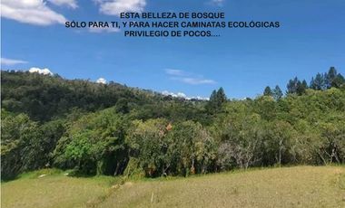 Venta lote Antioquia alto palmas variante no peaje parcelación bosque