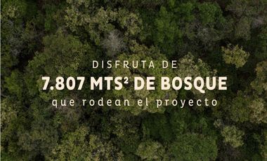Venta lote Antioquia alto palmas variante no peaje parcelación bosque