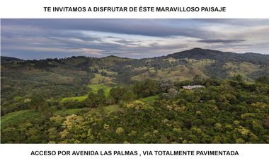 Venta lote Antioquia alto palmas variante no peaje parcelación bosque