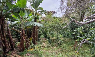 Vendo Lote Titulado en Palmira Lote #1