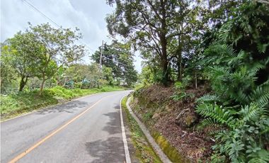 Vendo Lote en Palmira distrito de Boquete #2