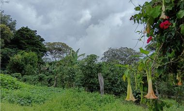 Vendo Lote en Palmira distrito de Boquete #2