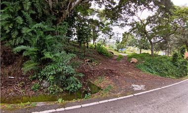 Vendo Lote en Palmira distrito de Boquete #2