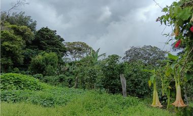 Vendo Lote en Palmira distrito de Boquete #2