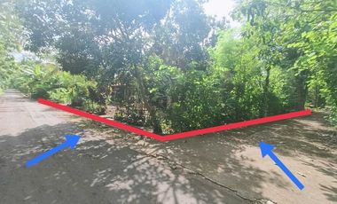 Jual Rumah murah dekat Kota Wonosari di Wiladeg Gunung Kidul