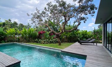 Villa Mewah Tropis Luas dan Elegan di Jantung Central Canggu Bali