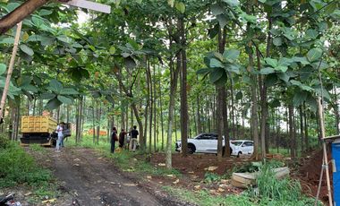 Tanah mainroad batujajar bandung