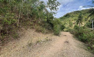 Tanah dekat pantai Selong belanak lombok. Cocok untuk villa