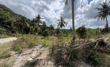 Tanah dekat pantai Selong belanak lombok. Cocok untuk villa