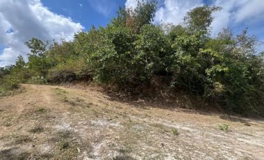 Tanah dekat pantai Selong belanak lombok. Cocok untuk villa