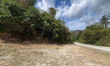 Tanah dekat pantai Selong belanak lombok. Cocok untuk villa