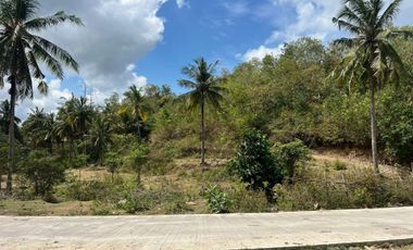 Tanah dekat pantai Selong belanak lombok. Cocok untuk villa