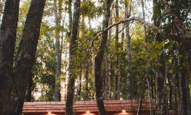 Parcela en venta en VILLARRICA