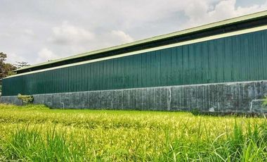 Gudang Serbaguna Area Kalasan Lokasi Dekat Prambanan Dan LPMP