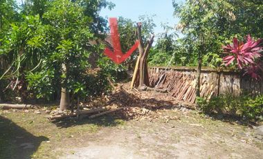 Dijual cepat tanah darat di Timur Pemandian Jolotundo Klaten