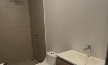 Monterrey centro por Santa Lucía