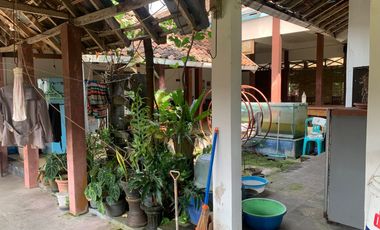 Rumah & Tanah murah Cangkringan