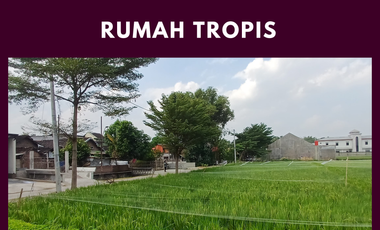 Rumah Tropis SHM Timur Tugu Boto, 15 Menit ke Pusat Kota Solo