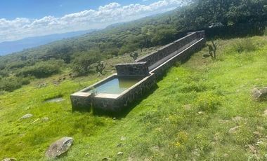 SE VENDE SUPER TERRENO DE 19 HECTAREAS, TODO O EN 2 PARTES