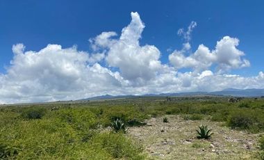 SE VENDE SUPER TERRENO DE 19 HECTAREAS, TODO O EN 2 PARTES