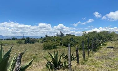 SE VENDE SUPER TERRENO DE 19 HECTAREAS, TODO O EN 2 PARTES