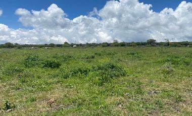 SE VENDE SUPER TERRENO DE 19 HECTAREAS, TODO O EN 2 PARTES