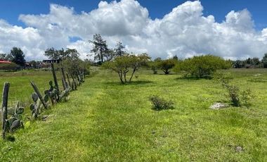 SE VENDE SUPER TERRENO DE 19 HECTAREAS, TODO O EN 2 PARTES