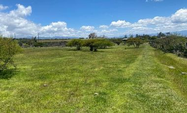 SE VENDE SUPER TERRENO DE 19 HECTAREAS, TODO O EN 2 PARTES