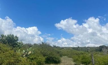 SE VENDE SUPER TERRENO DE 19 HECTAREAS, TODO O EN 2 PARTES