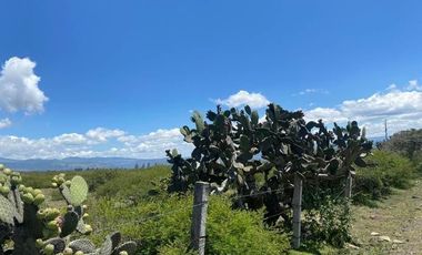 SE VENDE SUPER TERRENO DE 19 HECTAREAS, TODO O EN 2 PARTES