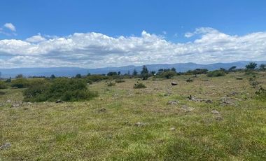 SE VENDE SUPER TERRENO DE 19 HECTAREAS, TODO O EN 2 PARTES