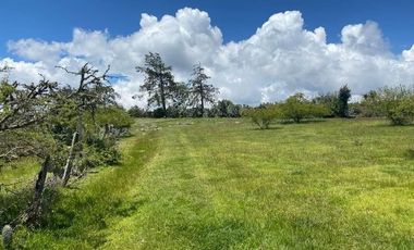 SE VENDE SUPER TERRENO DE 19 HECTAREAS, TODO O EN 2 PARTES