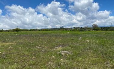 SE VENDE SUPER TERRENO DE 19 HECTAREAS, TODO O EN 2 PARTES