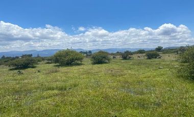 SE VENDE SUPER TERRENO DE 19 HECTAREAS, TODO O EN 2 PARTES