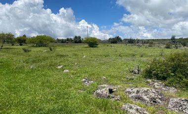 SE VENDE SUPER TERRENO DE 19 HECTAREAS, TODO O EN 2 PARTES