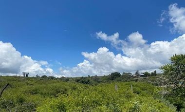 SE VENDE SUPER TERRENO DE 19 HECTAREAS, TODO O EN 2 PARTES