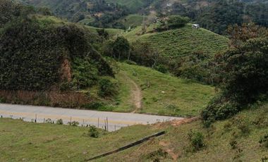 Lote En Venta Parcelación San Lucas Yolombó, Antioquia, Colombia