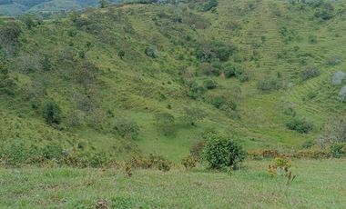 Lote En Venta Parcelación San Lucas Yolombó, Antioquia, Colombia