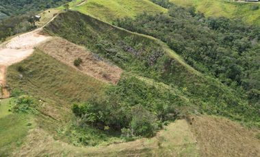 Lote En Venta Parcelación La Palmichala Cisneros