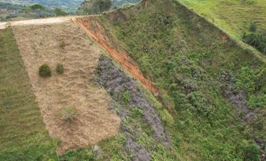 Lote En Venta Parcelación La Palmichala Cisneros