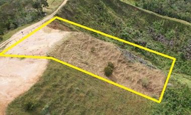 Lote En Venta Parcelación La Palmichala Cisneros