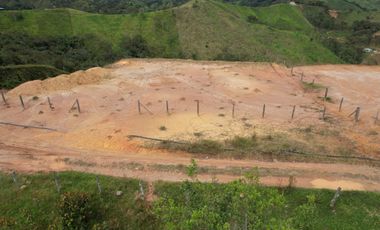 Lote En Venta Parcelación La Palmichala Cisneros